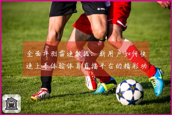 全面评测雷速数据：新用户如何快速上手体验体育直播平台的精彩功能